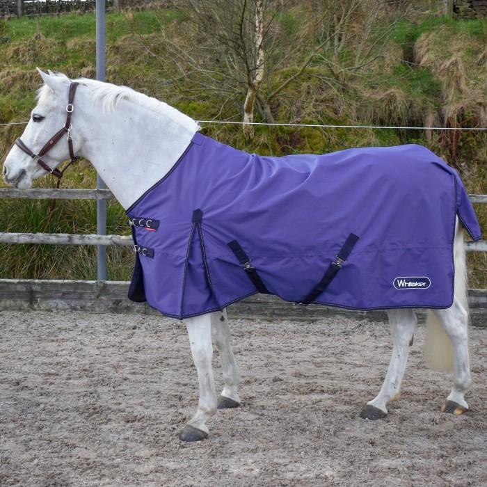 New for SS24 R189S Rastrick 0g Lightweight Turnout Rug in Purple 